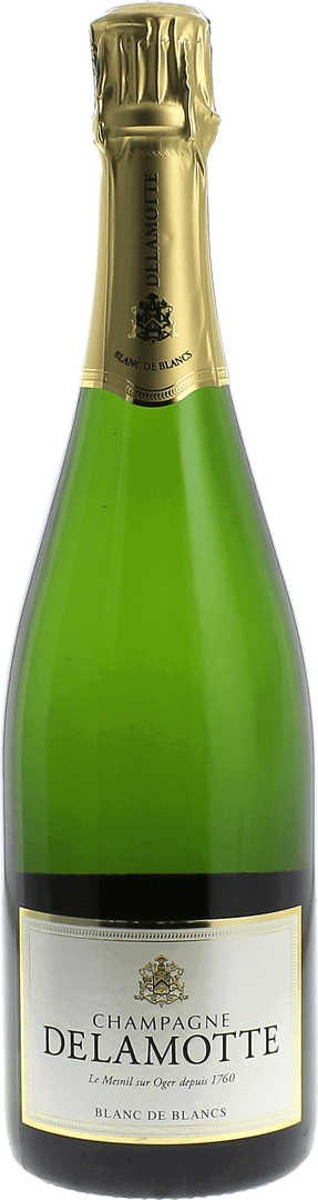 Delamotte Blanc De Blanc Delamotte - Magnum 1,5L - Bottle Hero