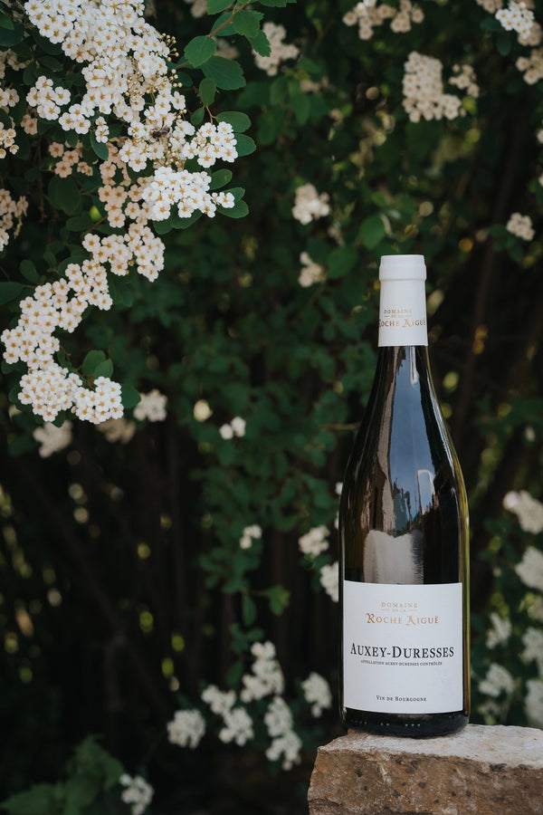 Domaine de la Roche Aiguë Auxey-Duresses Blanc 2023 - Bottle Hero