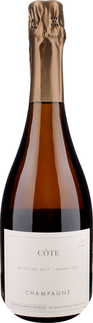 Domaine Les Monts Fournois Champagne 1er Cru Cote Extra Brut 2017 - Bottle Hero