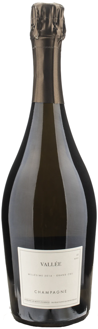 Domaine Les Monts Fournois Champagne Grand Cru Vallee Extra Brut 2014