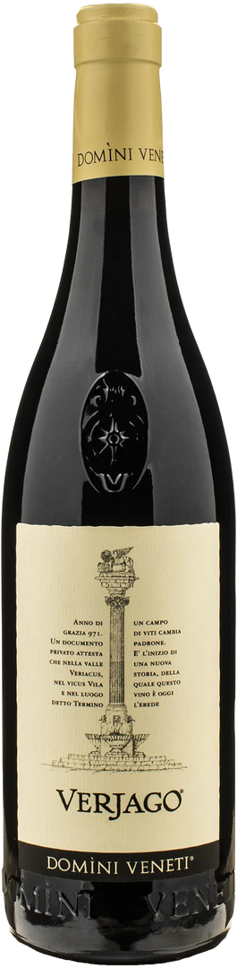 Domini Veneti Valpolicella Classico Superiore Verjago 2023