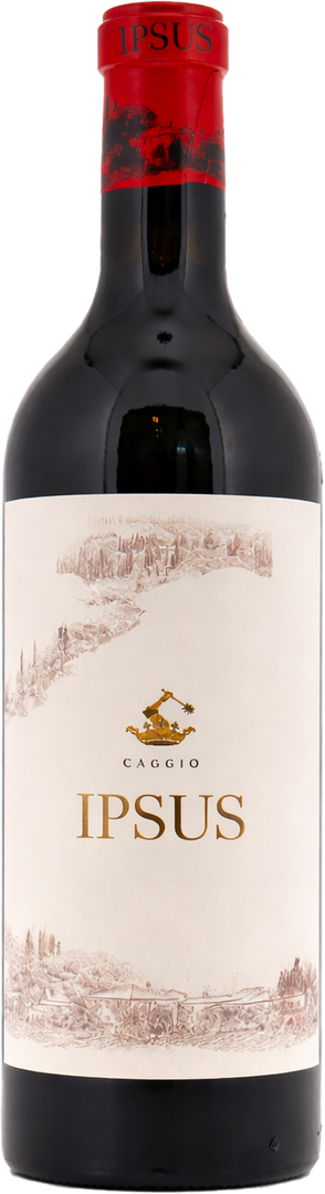 Ipsus Chianti Classico Gran Selezione° Italie, 2020 - Bottle Hero