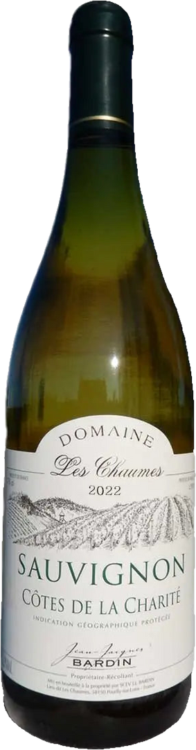 Jean Jacques Bardin, Côtes de la Charite Sauvignon 2022 White - Bottle Hero