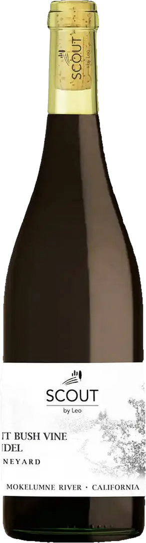 Ling estate vineyard, Ancient bush vine Zinfandel Mokelumne River Scout 2023 - Bottle Hero