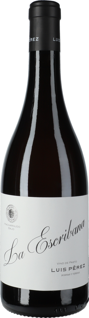 Luis Pérez, La Escribana Vino de Pasto, 2024 - Bottle Hero