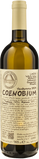 Monastero Trappiste Vitorchiano Coenobium 2024