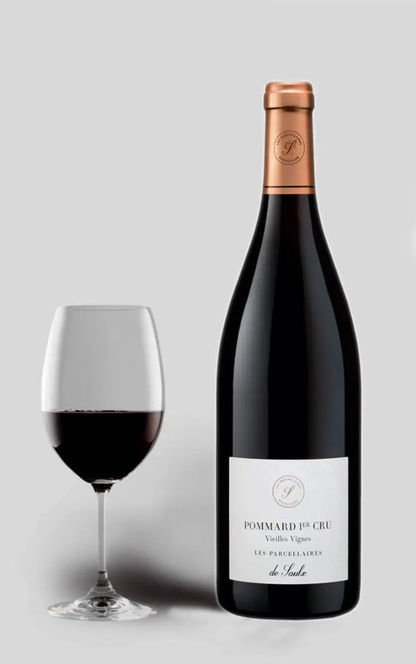 Pommard 1er Cru Vieilles Vignes Les Parcellaires de Saulx 2019 - Bottle Hero