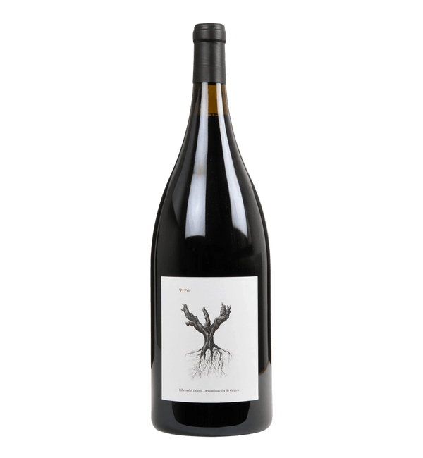 Dominio de Pingus PSI 2021 Magnum - Bottle Hero