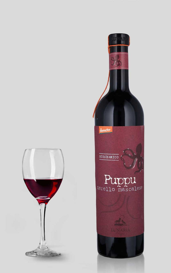 Puppu Nerello Mascalese Terre Siciliane Cantina Orsogna 2024 - Bottle Hero