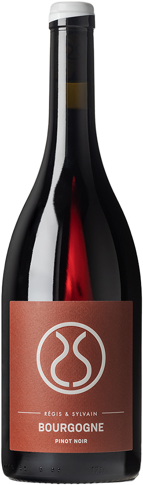 Regis et Sylvain, Bourgogne Rouge, 2023 - Bottle Hero