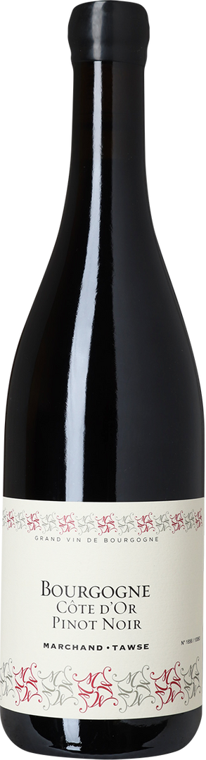 2023 Bourgogne Côte d'Or Pinot Noir Marchand-Tawse - Bottle Hero