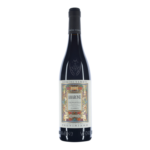 Domini Veneti Pruviniano Amarone 2015 - Bottle Hero