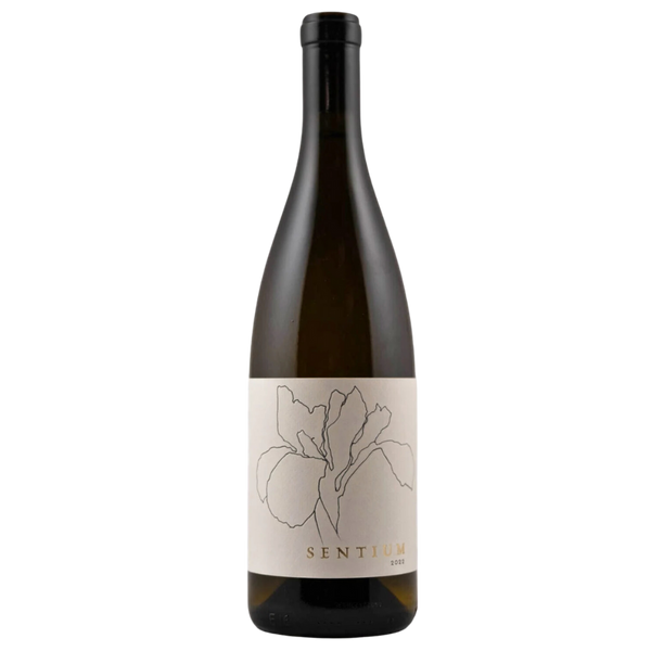 2022 Continuum Sentium - Bottle Hero