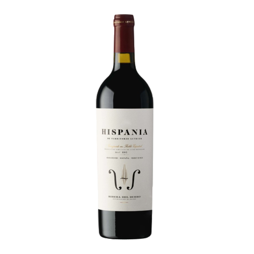 Territorio Luthier, Hispania Ribera del Duero magnum 1,5 liter 2019 - Bottle Hero
