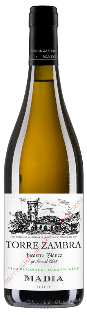 Torre Zambra, Bianco Terre di Chieti I.G.T. "Madia" 2025  - Bottle Hero