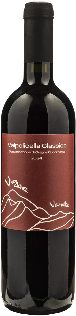 Vigne Venete Valpolicella Classico 2024