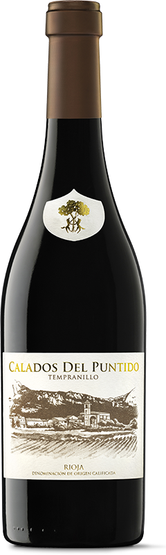 2022 Vinedos de Paganos Calados del Puntido - Bottle Hero